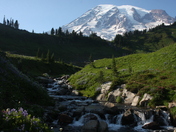Mount Rainier National Park