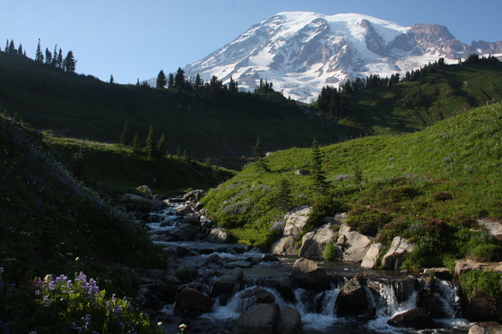 Mount Rainier National Park