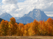 Grand Teton NP