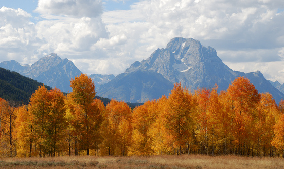 Grand Teton NP