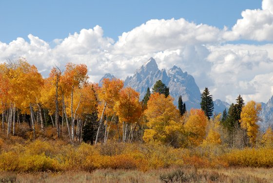 Grand Teton NP