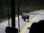 Yellowstone National Park