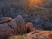 Mojave National Preserve