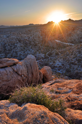 Mojave National Preserve