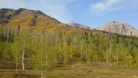 Uinta Wasatch-Cache