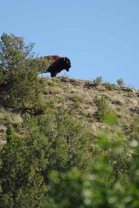 Roosevelt National Park