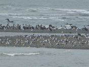Olympic National Park