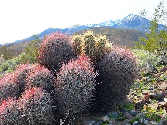Death Valley