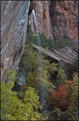 Zion Nationa Park