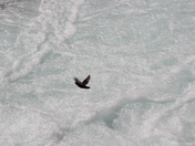 Glacier National Park