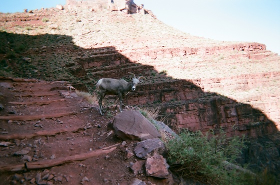 Grand Canyon,Az