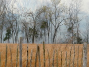 Stones River National Battlefield