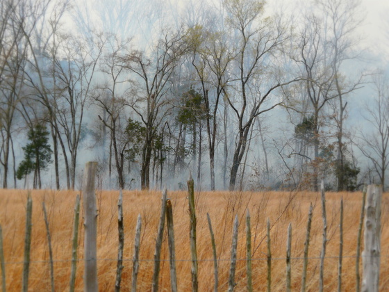 Stones River National Battlefield
