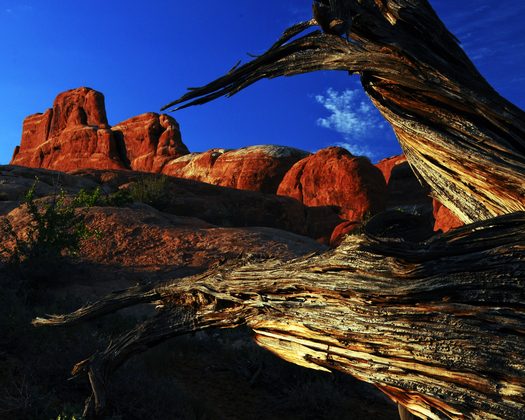 Arches National Park