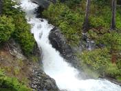 Mt Rainier National Park