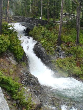 Mt Rainier National Park