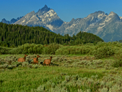 Gand Tetons National Park