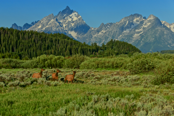 Gand Tetons National Park
