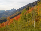 Uinta-Wasatch-Cache National Forest