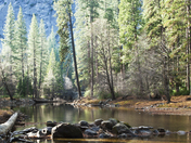 Yosamite National Park