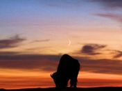 Theodore Roosevelt National Park - South