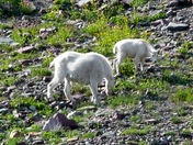 Glacier National Park