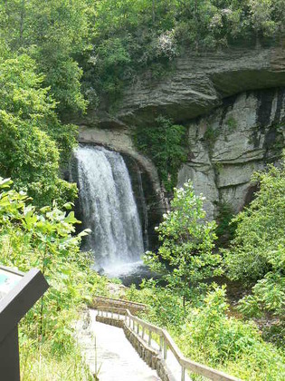 Pisgah National Forest
