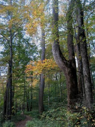 Mammoth Cave National Park