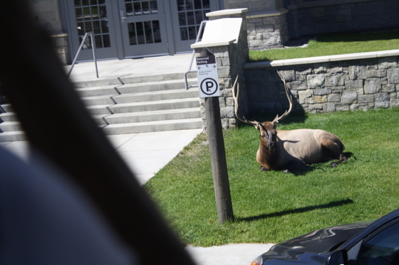 Yellowstone National Park