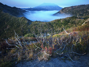 Mt Margaret Wilderness