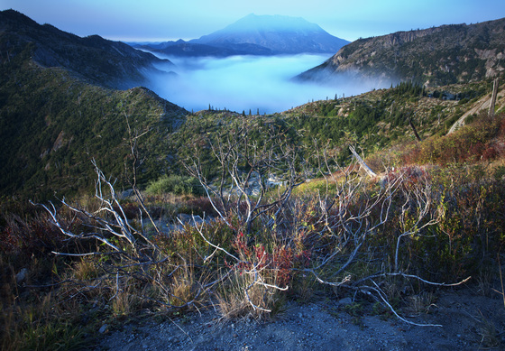 Mt Margaret Wilderness
