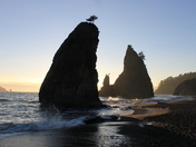 Olympic National Park