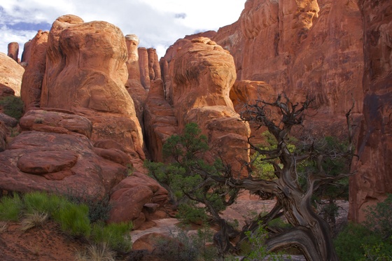 Arches National Park