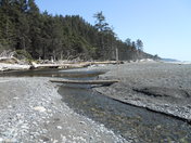 Olympic National Park