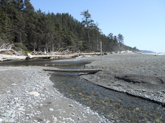 Olympic National Park