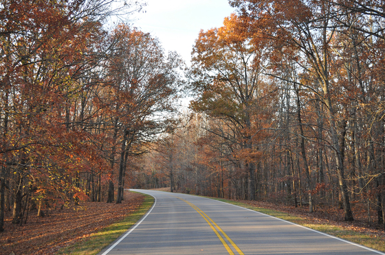 Natchez Trace Parkway