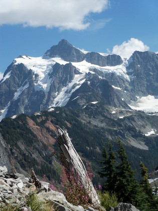 Mt Baker National Recreation Area