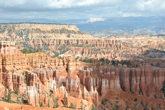 Bryce