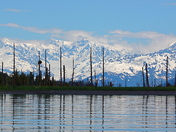 Chugach National Forest 