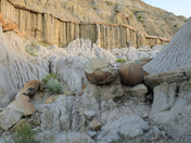 Theodore Roosevelt National Park