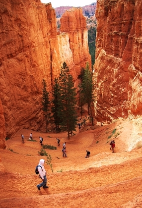 Bryce Canyon