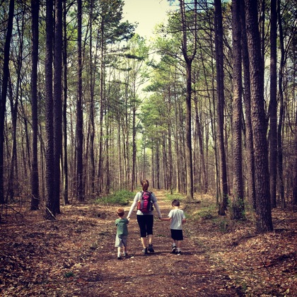 Hoosier National Forest - Charles C. Deam Wilderness