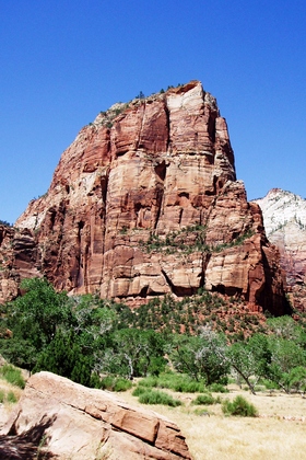 Zion National Park