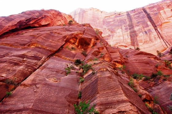 Zion National Park