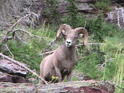 Glacier National Park