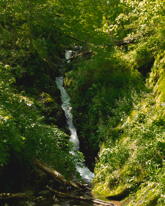Shenandoah National Park