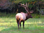Great Smoky Mountains National Park
