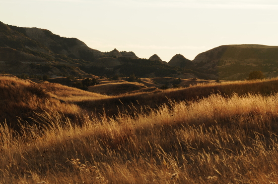 Theodore Roosevelt National Park, South Unit