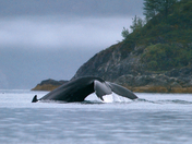 Glacier Bay National Park