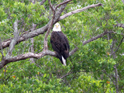 Everglades National Park